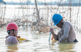 宣城電網(wǎng)人員用緊線器搶修被毀線桿